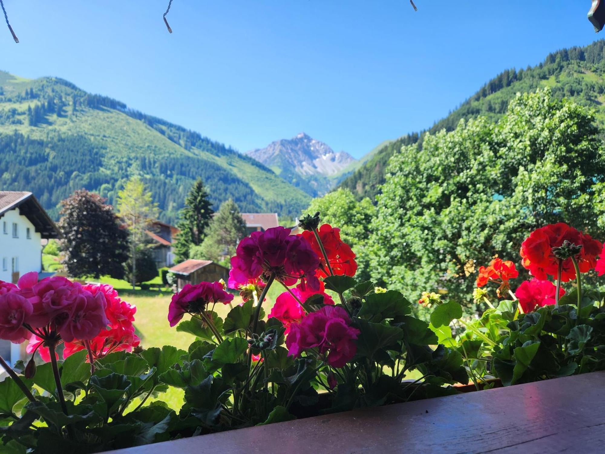 Am Muehlbach - Ferienwohnungen Luttinger Bichlbach Luaran gambar